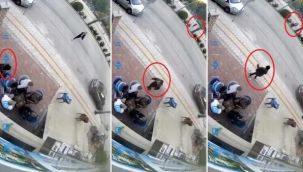 Erkekliğiniz batsın!