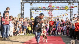 FestPati'de 22 hayvan sahiplendirildi