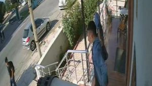 Fırlattığı bıçak isabet etmeyince, koşup yakalayarak sırtına sapladı