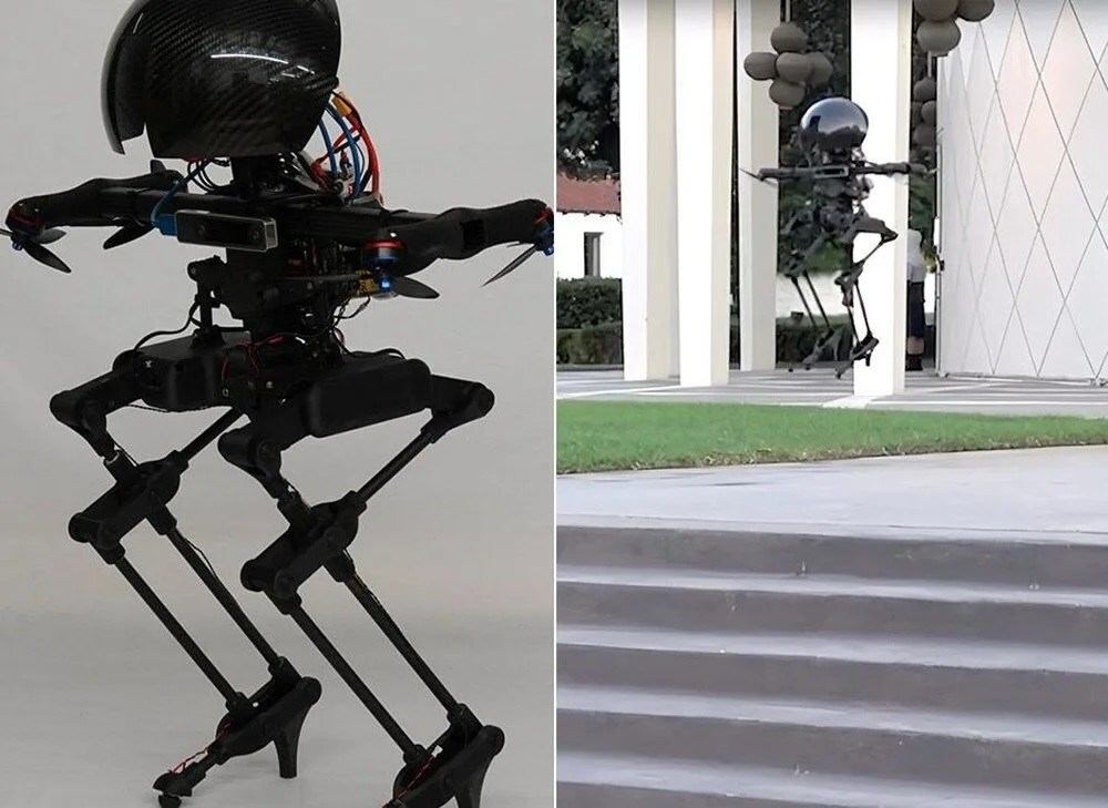 Hem uçabilen hem de yürüyebilen robot