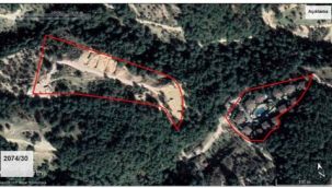 İzmir'de ağaç kesen ünlü şirkete büyük ceza