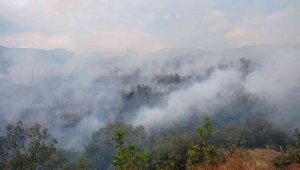 İzmir'de ormanlık alanda yangın