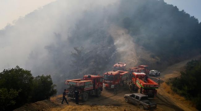 İzmir'deki orman yangınıyla ilgili 1 şüpheli gözaltında