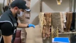 Kaçak getirilen 31 yılan derisi ele geçirildi