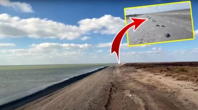 Karadeniz'de kıyamet! Gökyüzünden ölü kuş yağdı