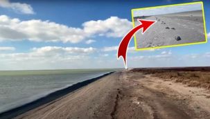 Karadeniz'de kıyamet! Gökyüzünden ölü kuş yağdı