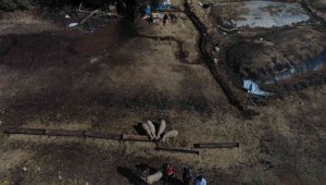 Kayıp 65 koyun drone ile bulundu