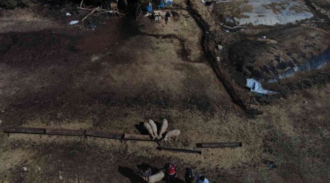 Kayıp 65 koyun drone ile bulundu