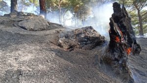 Kazdağları'nda başlayan yangın kontrol altına alındı
