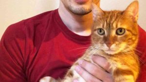 Kedi Pika, yeni hayatından memnun