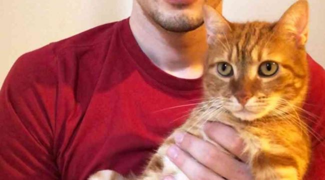 Kedi Pika, yeni hayatından memnun