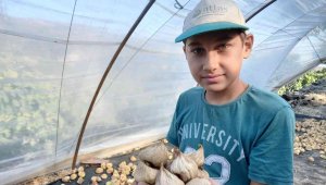 Kuru incirimiz dünyanın gözdesi