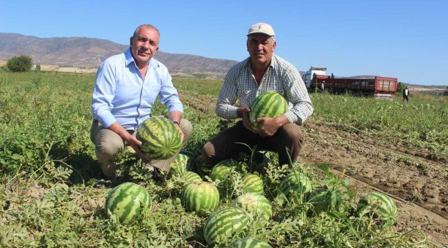 Manisa'dan Dubai'ye karpuz ihraç ediyor