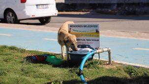 Menderes Parklarına Can Dostlar İçin Su Odakları