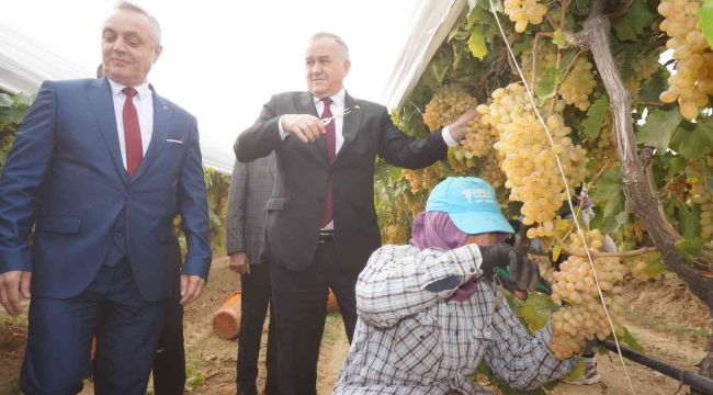 MHP'li Akçay: "CHP Atatürk'e nankörlük yapan bir partidir"