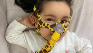 Minik, Eliz Mira yaşamak istiyor