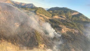 Muğla'da orman yangınına havadan karadan müdahale