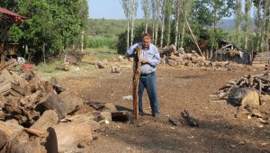 Ömrünü katrana adadı