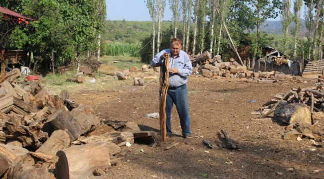 Ömrünü katrana adadı
