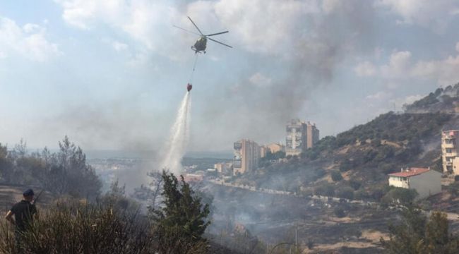 Ormanı yaktığı iddia edilen şüpheli tutuklandı