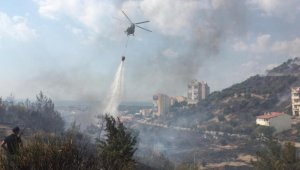 Ormanı yaktığı iddia edilen şüpheli tutuklandı