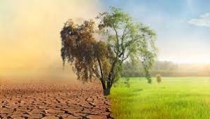 Paris Anlaşması yürürlüğe girdi