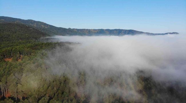 Poyraza dönen rüzgar Kazdağları'nda görsel şölen sunuyor