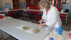 Savunma sanayisine şeker otu