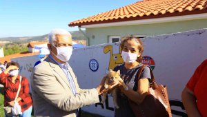 Sokak hayvanları 'mikroçip' ile kayıt altına alınıyor