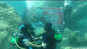 Su üstündeki yunuslardan su altında evlenme teklifi