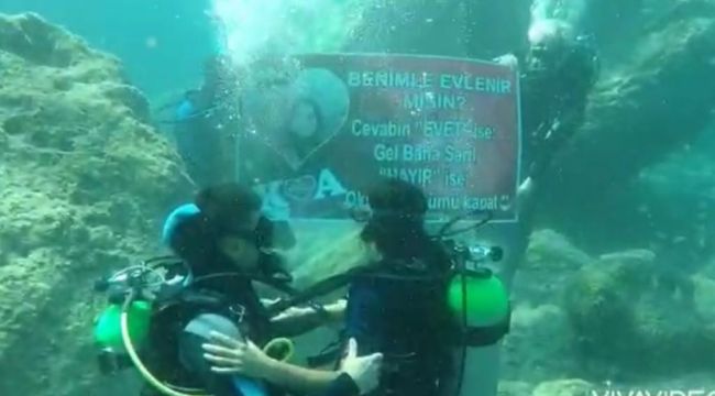 Su üstündeki yunuslardan su altında evlenme teklifi
