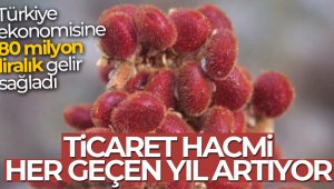 Türkiye ekonomisine 80 milyon liralık gelir sağladı