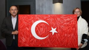 Ukraynalı ressamdan ödüllü Türk Bayrağı tablosu