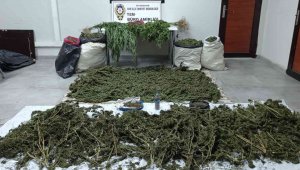 UNESCO Kültür Mirası Hevsel Bahçeleri'nde 62 kilo esrar ele geçirildi