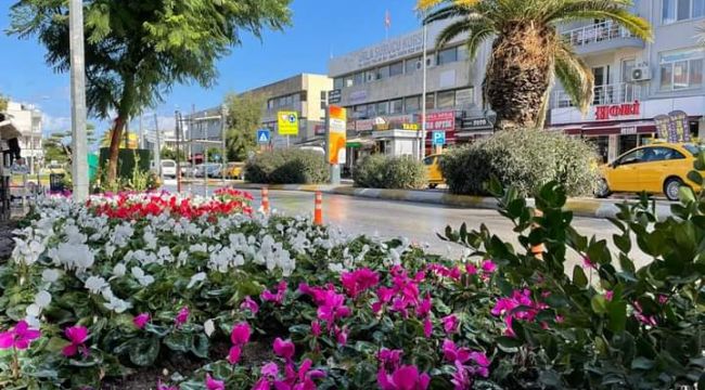 Urla çiçek açtı!