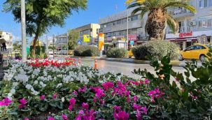 Urla çiçek açtı!