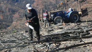 Yanan sahalara kadın eli