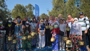 Yayılan zeytinyağı kokusu bereket habercisi sayıldı