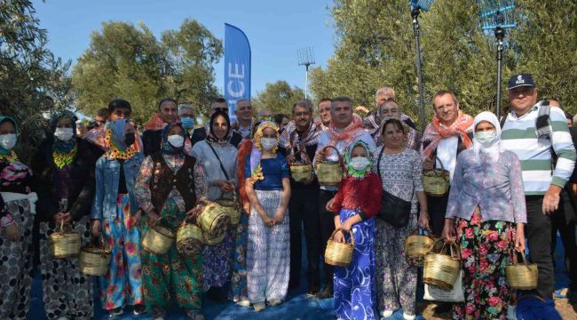 Yayılan zeytinyağı kokusu bereket habercisi sayıldı