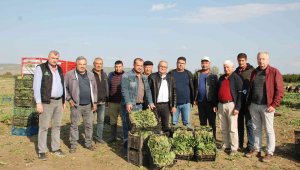 Zehirli ıspanak iddiaları üretici ve işçileri vurdu