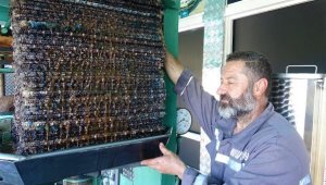 150 yıllık taş baskı zeytinyağı üretimini il il tanıtacak