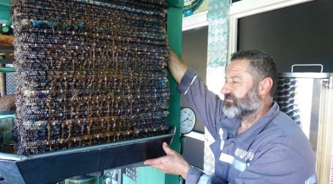 150 yıllık taş baskı zeytinyağı üretimini il il tanıtacak