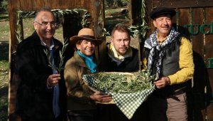 '20 milyon zeytin ağacı tarandı, 309'u kayıt altına alınıyor'