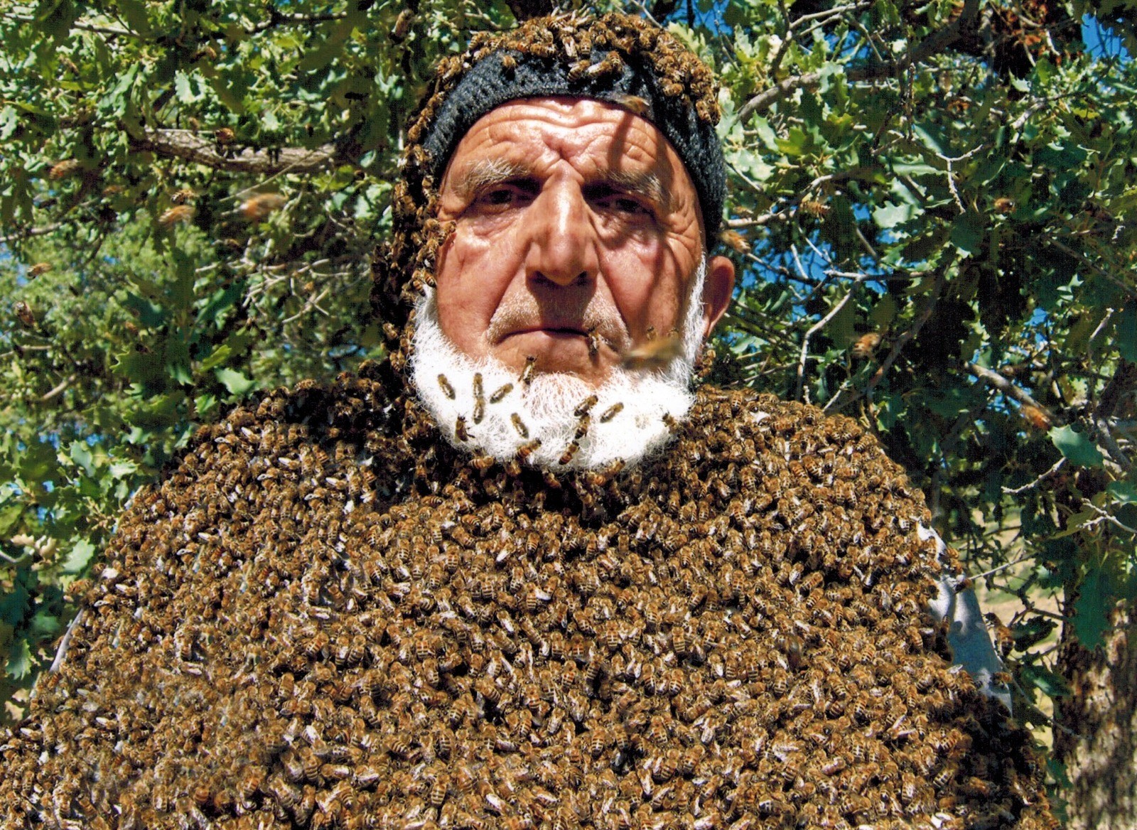 Arı adam! Üzerine 50 bin arı konuyor