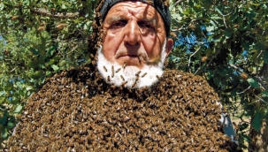 Arı adam! Üzerine 50 bin arı konuyor
