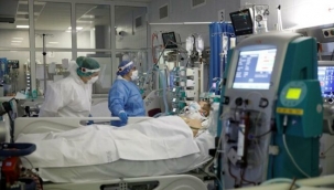 Avrupa'da kabus: Vaka ve ölüm rekorları kırıldı