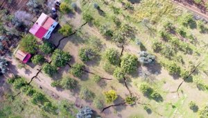 "Aydın bölgesindeki çatlakların sebebi kuraklık"