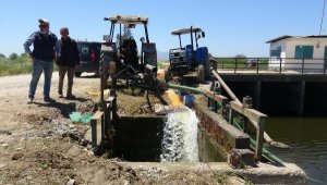 Aydın'da yüzde 50 kuru tarıma geçme kararı alındı