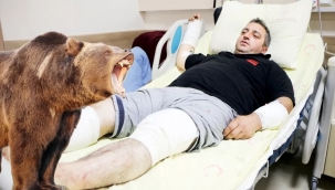 Ayı saldırısından yaralı kurtulan adam: Siz bir de ayıyı görün, daha perişan