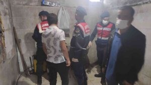 Baba-oğul, 20 at ve eşeği kesip etini sattı!